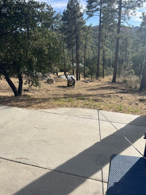 Crew lowering a wrapped safe down a pine slope on a tether.