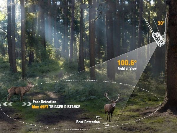 Trail Cameras, photo 4