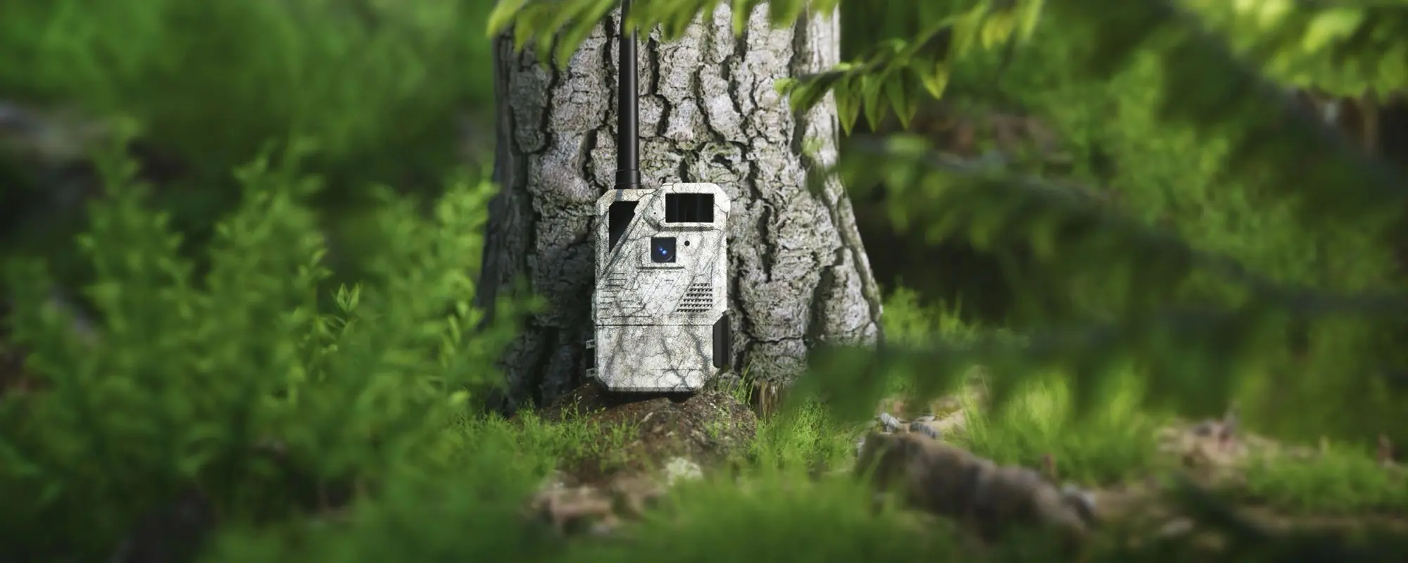 Trail Cameras, photo 7