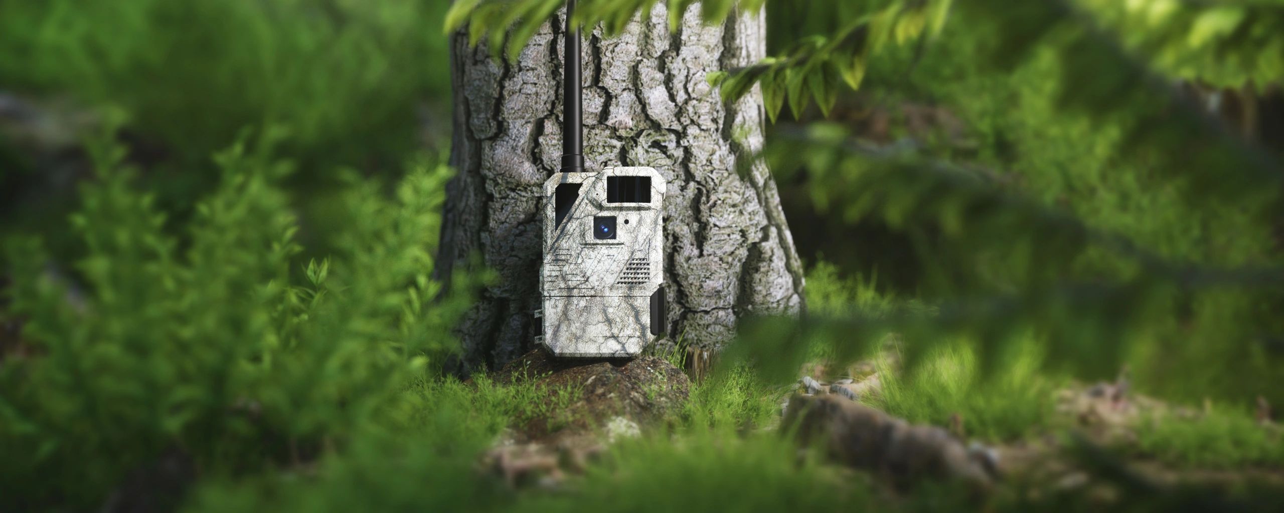 Trail Cameras, photo 7