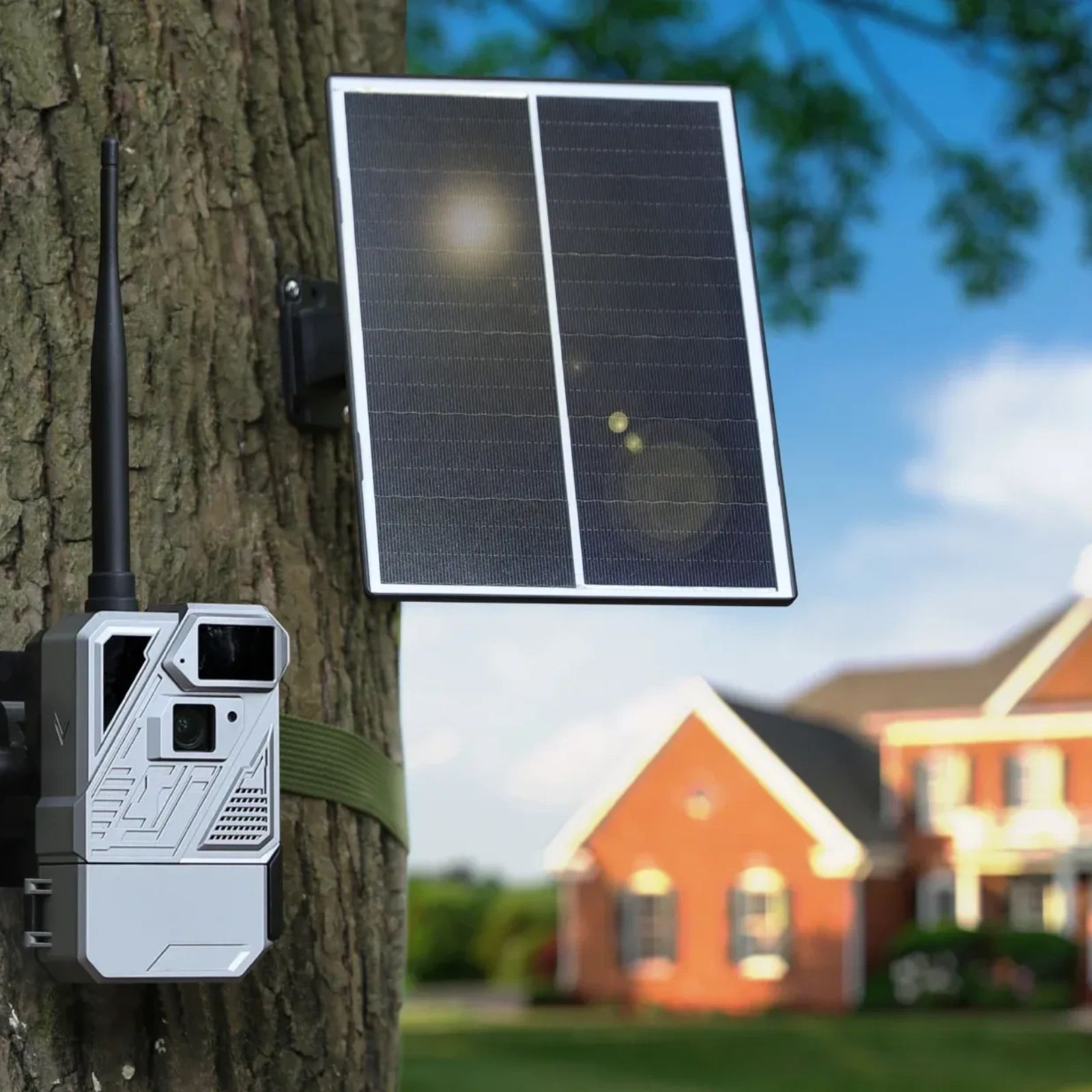 Trail Cameras, photo 8