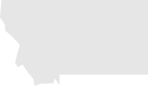 Montana state icon