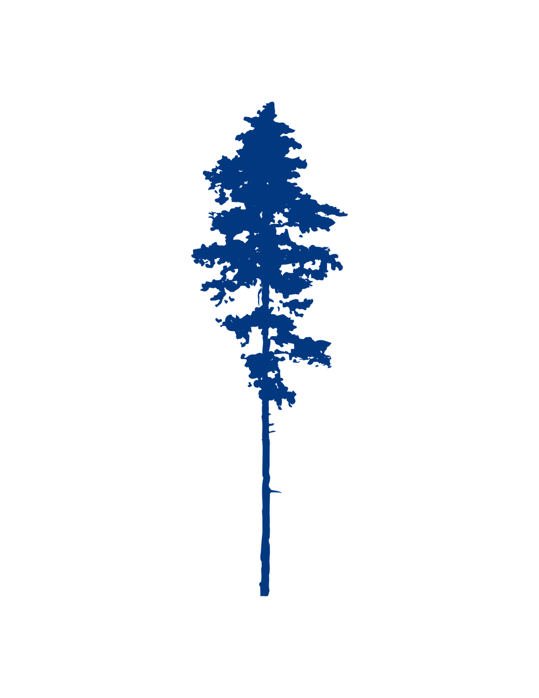 Aspen membership level tree illustration