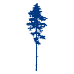 Aspen membership level tree illustration