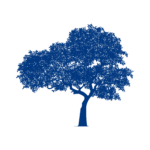 Cherry membership level tree illustration