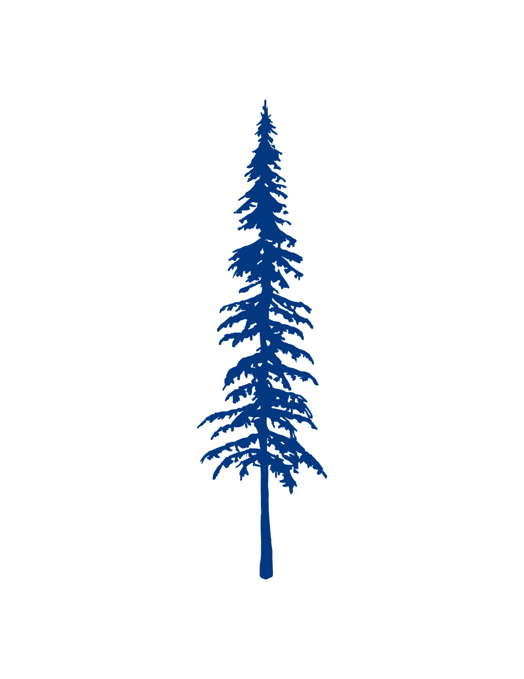 Douglas Fir membership level tree illustration