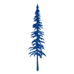Douglas Fir membership level tree illustration