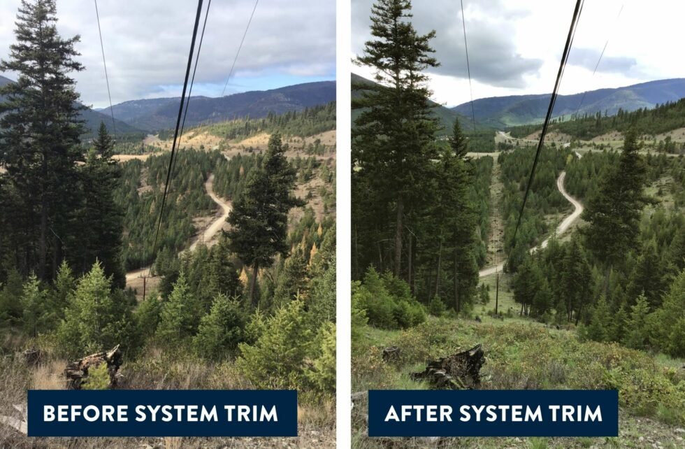 Forestry crew trimming vegetation to reduce wildfire fuels