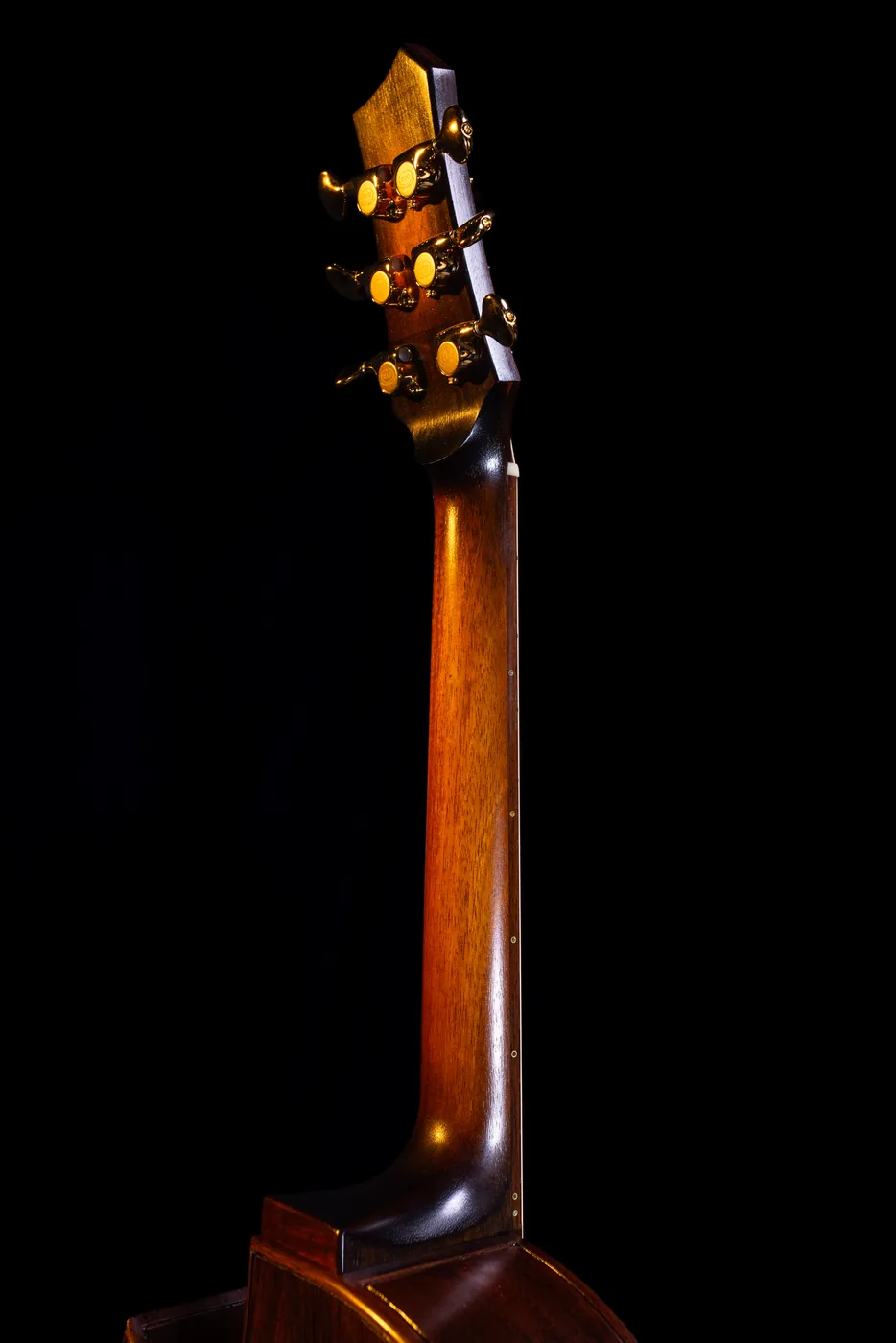 No. 033 Shadow Line, stained Mahogany neck and headstock detail