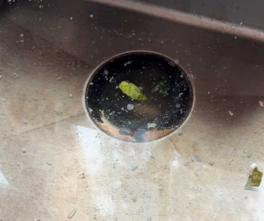 5 Common Causes of Clogged Drains in Kalispell Homes — photo 1